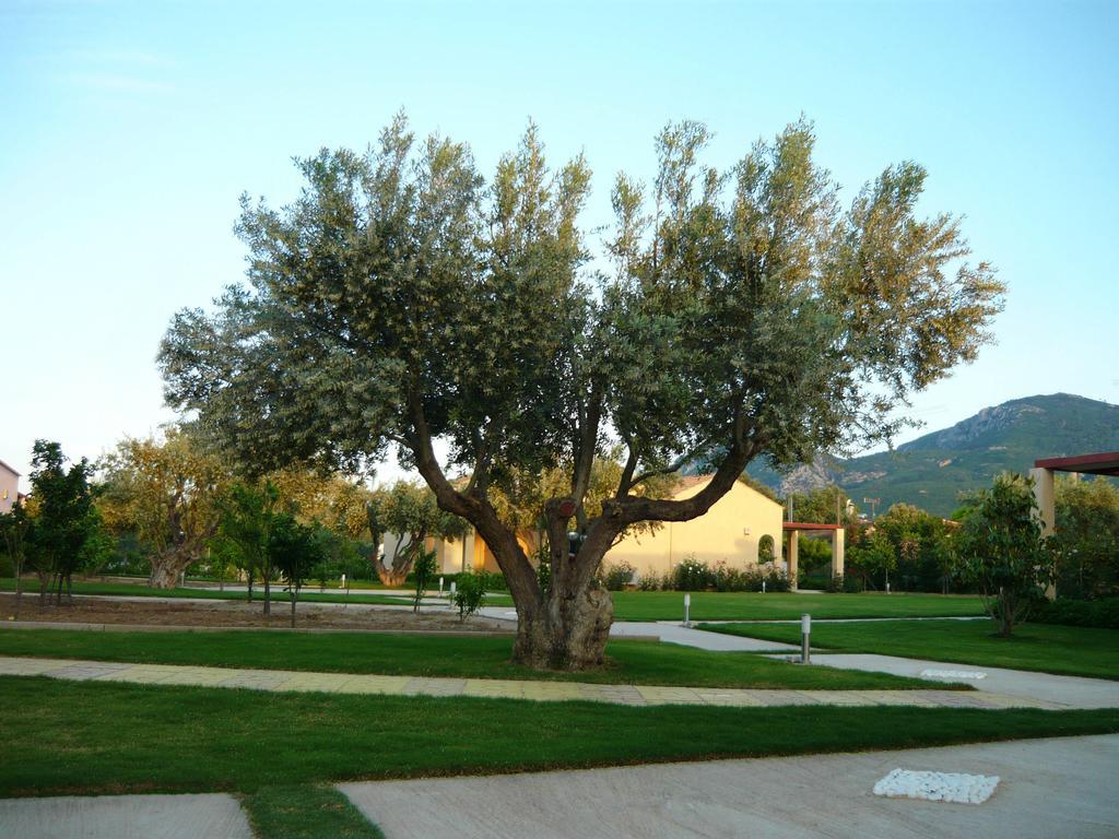 Cosmos Resort Kalamos  Luaran gambar
